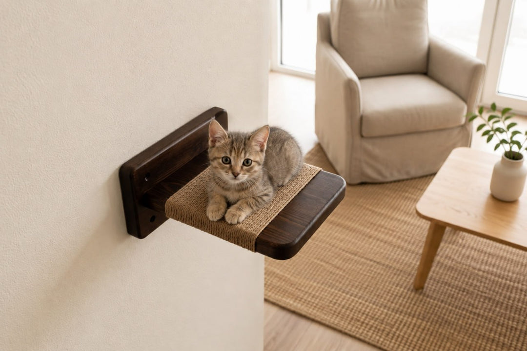 Wall-mounted-cat-climbing-set-with-wooden-platforms