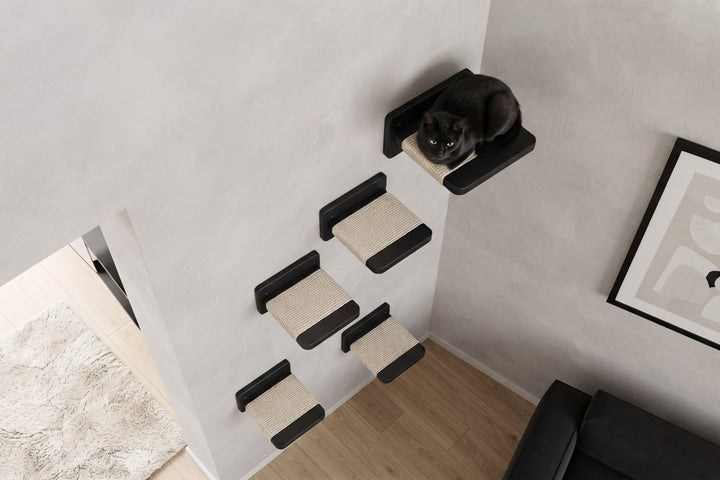 Wall-mounted-cat-climbing-set-with-wooden-platforms