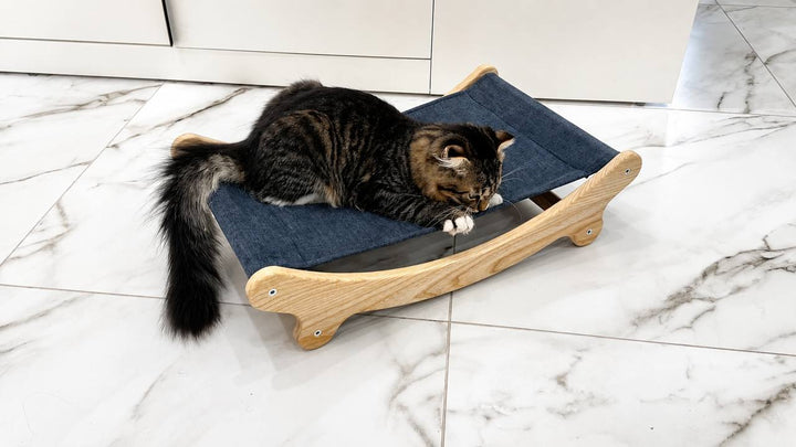 Space-saving-wall-mounted-cat-bed-for-small-spaces