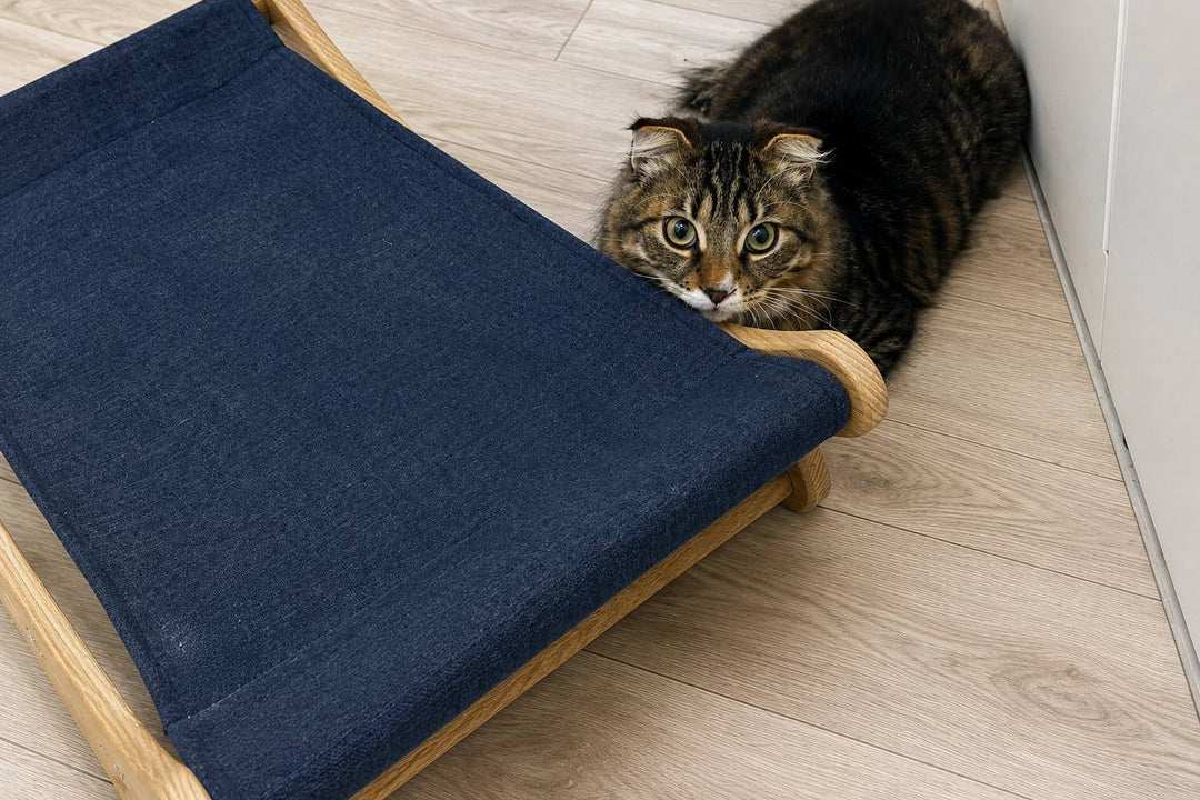 Space-saving-wall-mounted-cat-bed-for-small-spaces