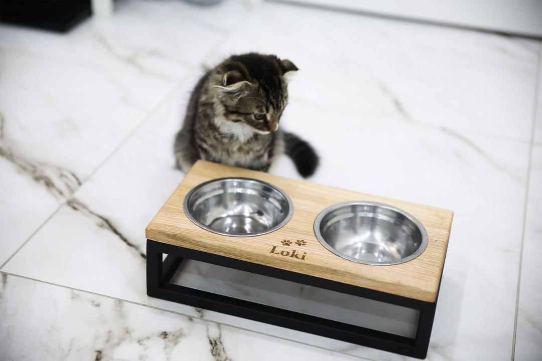 Elevated Cat Bowl Stand with Bowls – Wood&Metal Raised Cat Feeder