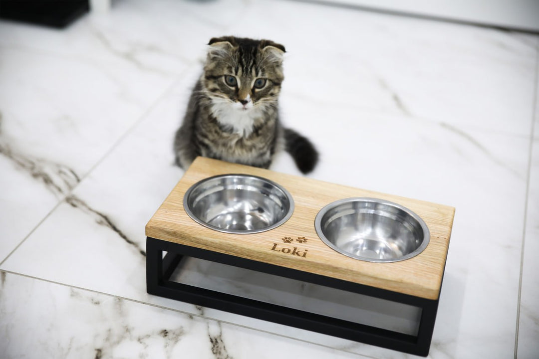 Elevated Cat Bowl Stand with Bowls – Wood&Metal Raised Cat Feeder