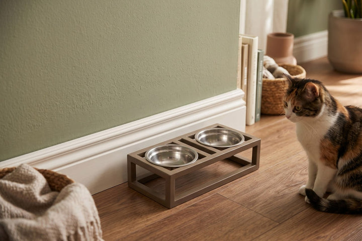 Elevated Cat Bowl Stand with Steel Bowls – Metal Raised Cat Feeder