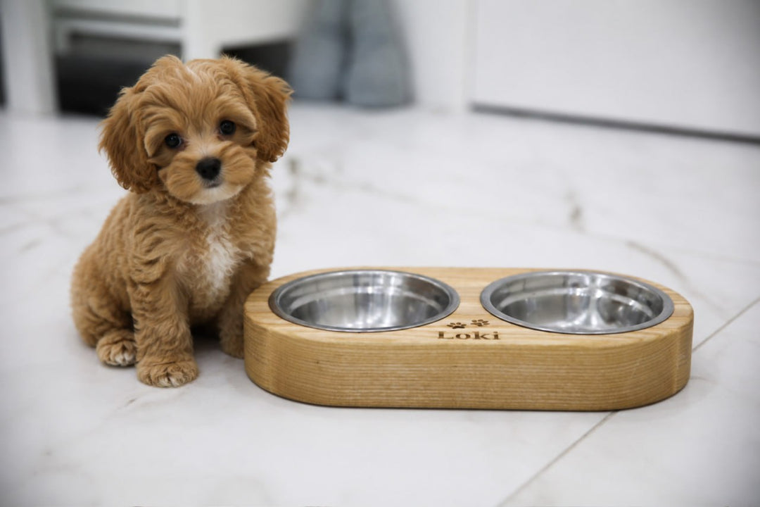 Handmade wooden elevated cat bowl stand with two stainless steel bowls