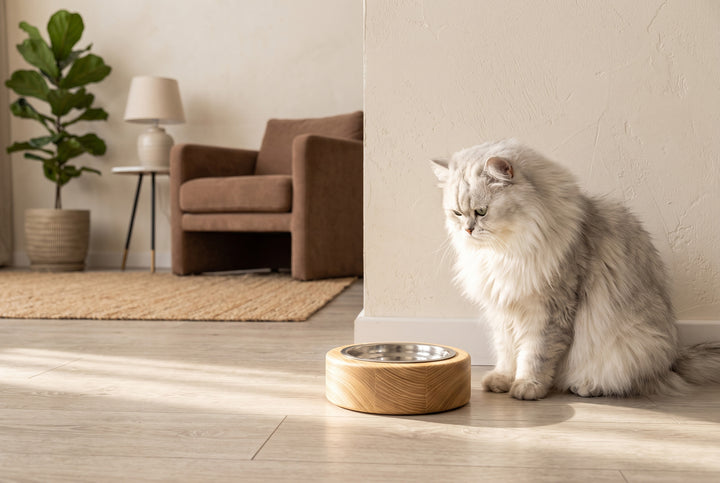 Handmade wooden elevated cat bowl stand with two stainless steel bowls