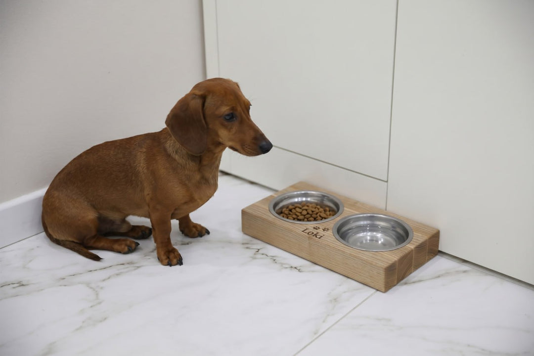 Handmade wooden elevated cat bowl stand with two stainless steel bowls